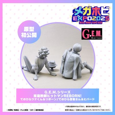 GEM系列 家庭教师 掌中纲吉 与 里包恩