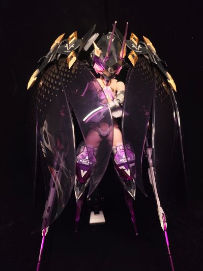 萝莎计划 星花·黑鸢尾