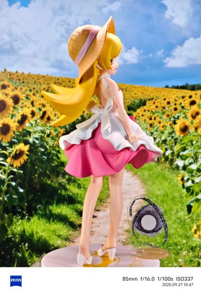 伪物语  奖品人偶 忍野忍