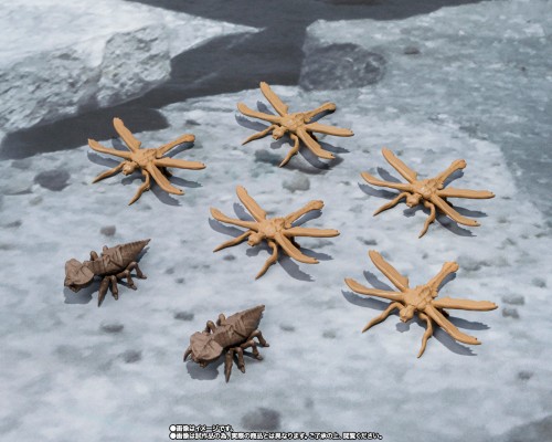 S.H.MonsterArts 超翔龙美加奇拉斯 进化套装