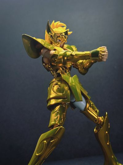 圣斗士圣衣神话EX 宝瓶座冰河-黄金圣衣的继承者-