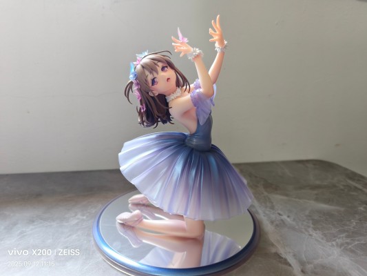 舞台上 — 灰色的丑小鸭