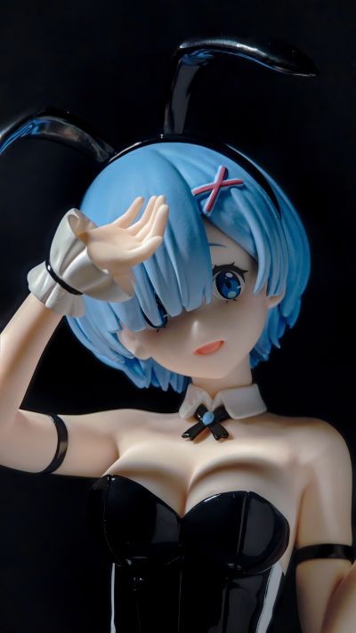 BiCute Bunnies Re：从零开始的异世界生活 雷姆·bicolor