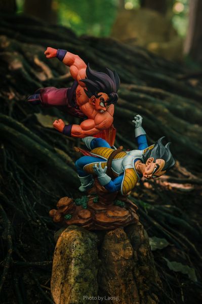 一番赏 龙珠 龙珠历史 B奖 追忆往昔-孙悟空VS贝吉塔-