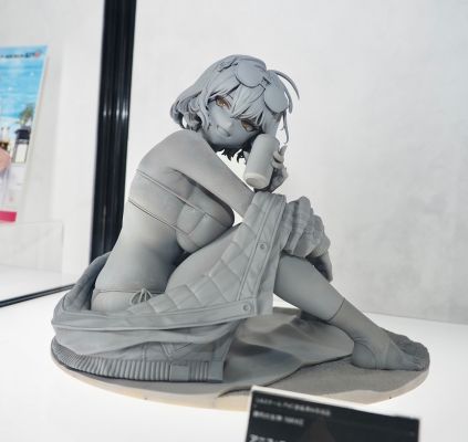 胜利女神：新的希望 阿妮斯：闪耀夏日