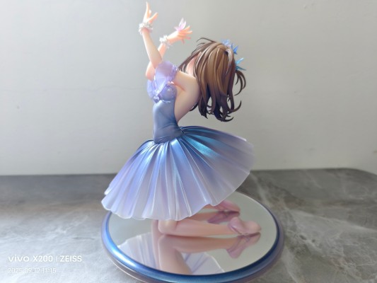 舞台上 — 灰色的丑小鸭