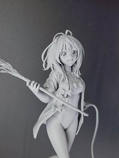 败北女角太多了! 八奈见杏菜 学校泳装