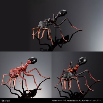 生物大图鉴进阶版 斗牛犬蚁 树皮底座（中号）套装