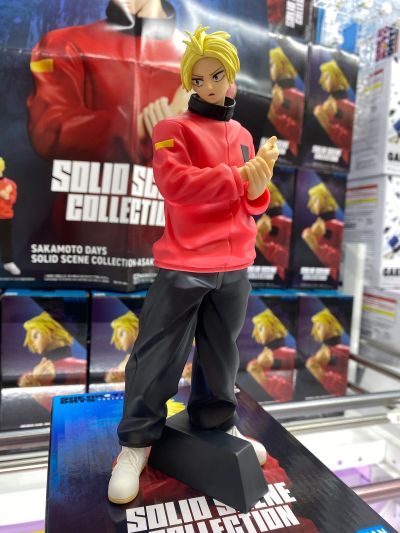 SOLID SCENE COLLECTION 坂本日常 朝仓信