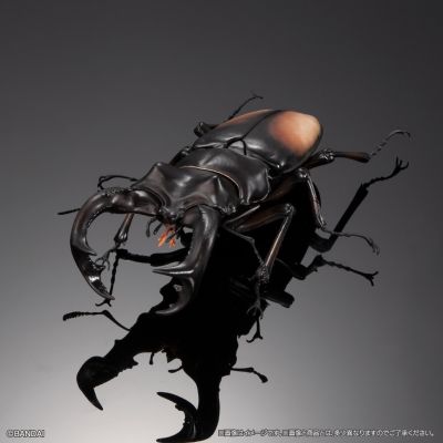 生物大图鉴 进阶版 锹甲02 树皮底座（中号）套装