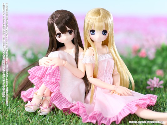 POD012-SCG Sarah's a la Mode 莎拉/甜蜜时光穿搭套装~金发~(AZONE网上商店限定)