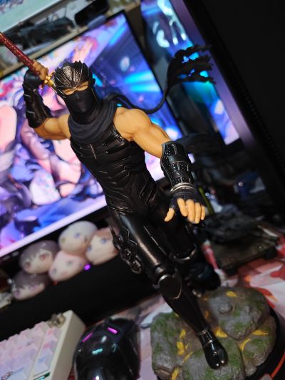 忍者龙剑传系列 龙隼