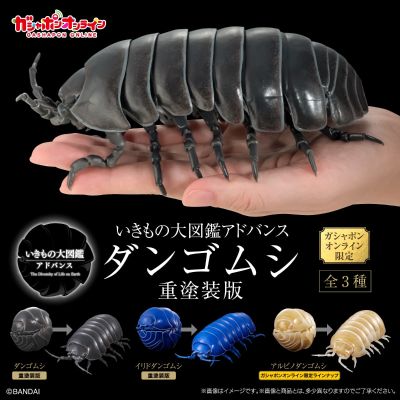 生物大图鉴 进阶版 西瓜虫（重涂装版） 线上扭蛋版