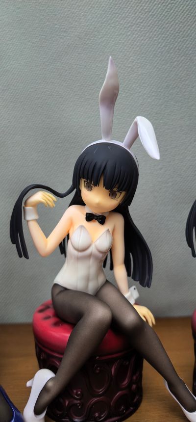 我的妹妹不可能那么可爱 五更瑠璃 白