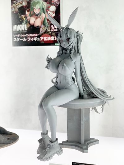 胜利女神：新的希望 索达：闪亮兔女郎