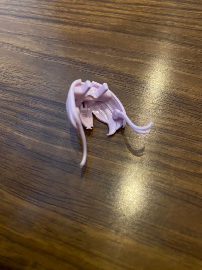 阿尔卡纳蒂亚 吉伊