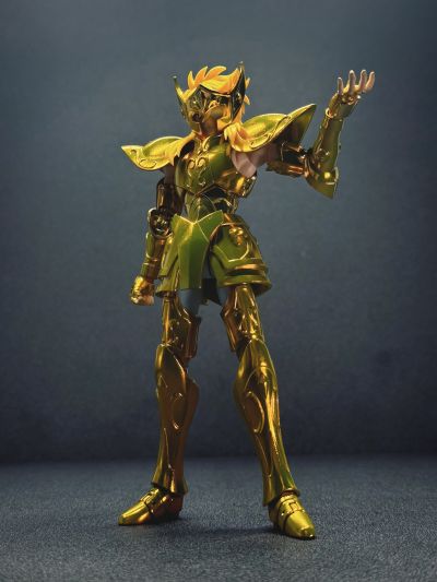 圣斗士圣衣神话EX 宝瓶座冰河-黄金圣衣的继承者-