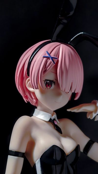 BiCute Bunnies Re：从零开始的异世界生活 拉姆·bicolor