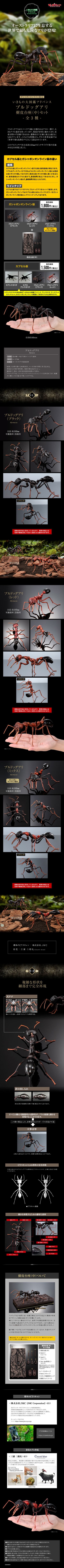 生物大图鉴进阶版 斗牛犬蚁 树皮底座（中号）套装