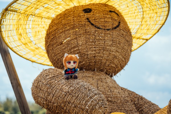 狼与香辛料 MERCHANT MEETS THE WISE WOLF 赫萝满满RICH小扭蛋