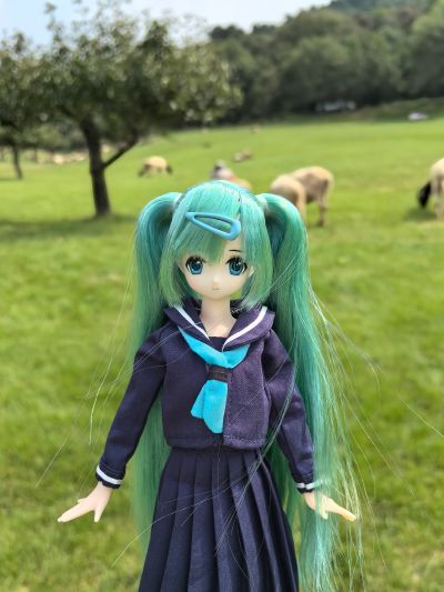 EX☆CUTE Familyー ～mermaid a・la・mode～ 金鱼公主 / 若叶 Azone品牌店乐天市场店限定