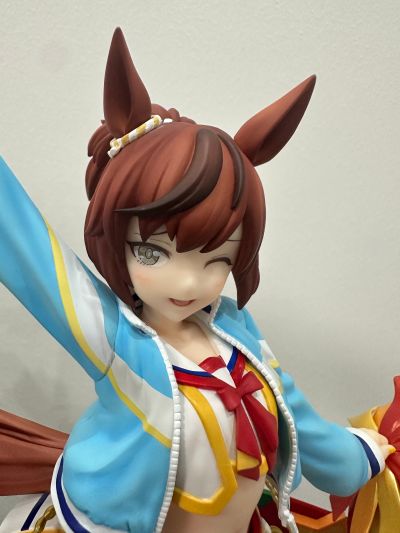 赛马娘 / 闪耀！优俊少女 优秀素质 RUN＆WIN