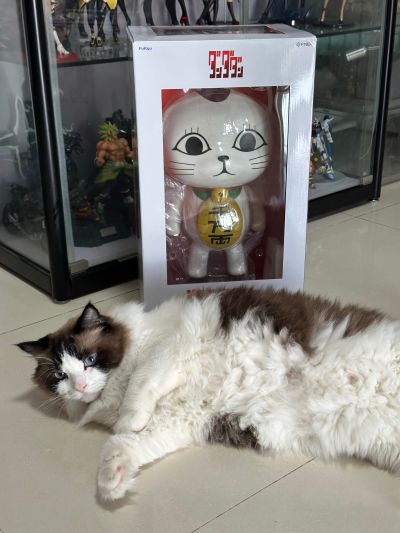 当哒当/胆大党 招财猫 1/1比例软胶手办