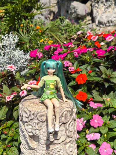 EX☆CUTE Familyー ～mermaid a・la・mode～ 金鱼公主 / 若叶 Azone品牌店乐天市场店限定