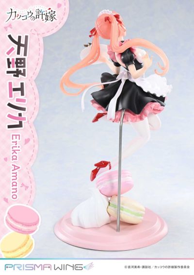 杜鹃的婚约 天野绘里香