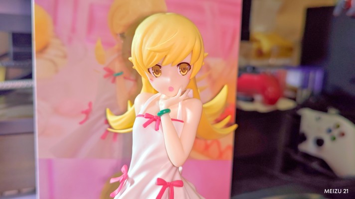 西尾维新 动画《物语》系列 ESPRESTO-Sweet Bloom-忍野忍