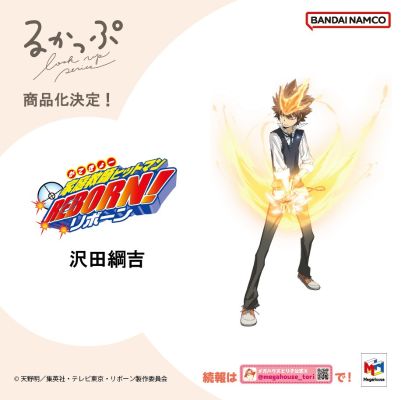 Look up 家庭教师 泽田纲吉