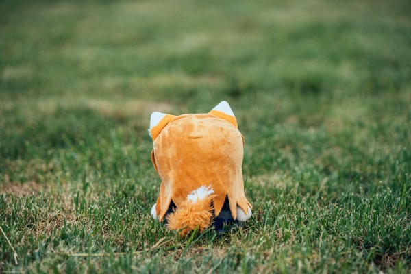 狼与香辛料 MERCHANT MEETS THE WISE WOLF 赫萝满满RICH小扭蛋