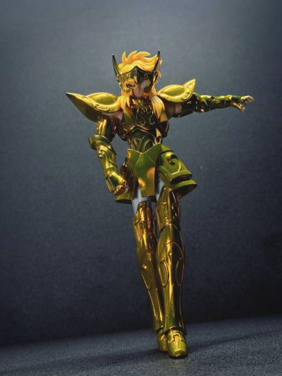 圣斗士圣衣神话EX 宝瓶座冰河-黄金圣衣的继承者-