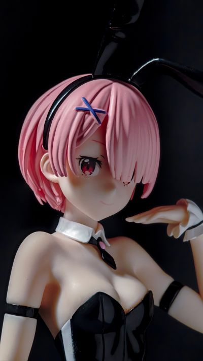 BiCute Bunnies Re：从零开始的异世界生活 拉姆·bicolor