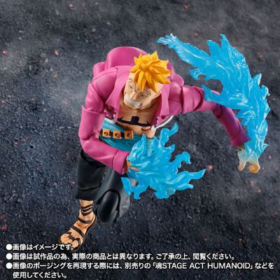 S.H.Figuarts 航海王 马尔科 -玛丽弗德顶上决战-