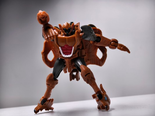 变形金刚传世系列 TL-61 幼獾