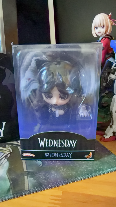 TMS135 《星期三》星期三