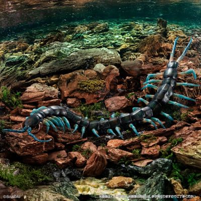 终极生物大图鉴系列 琉神大蜈蚣