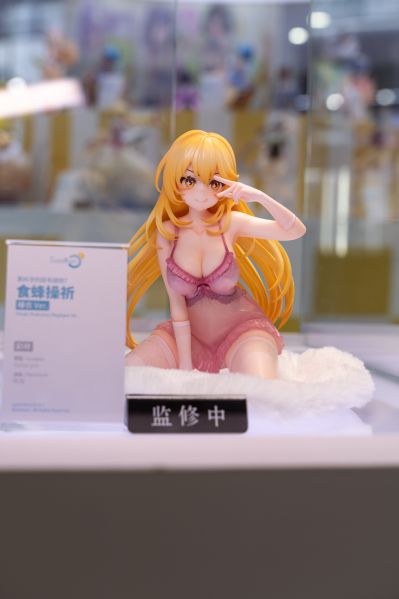 某科学的超电磁炮T  食蜂操祈 睡衣