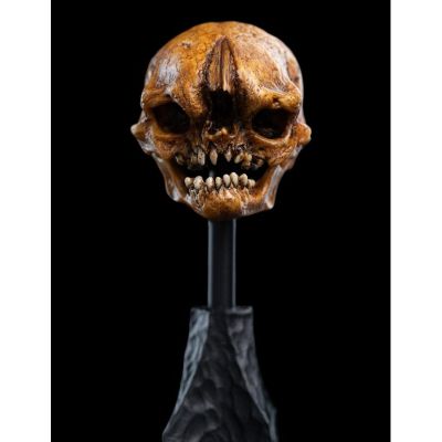 霍比特人 迷雾山脉 哥布林头骨