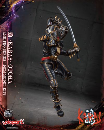 AMK PRO系列 鸦 -KARAS- 乙羽鸦 新生版