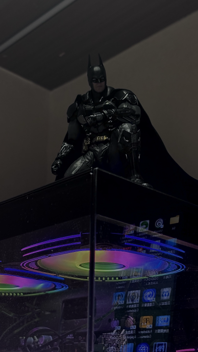 蝙蝠侠-阿卡姆骑士 v8.04战衣蝙蝠侠 1:12成品可动人偶