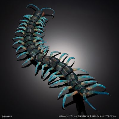 终极生物大图鉴系列 琉神大蜈蚣