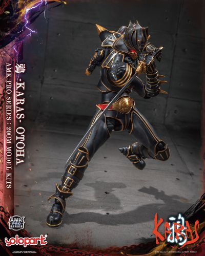 AMK PRO系列 鸦 -KARAS- 乙羽鸦 新生版