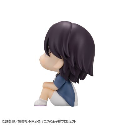 Look up 新网球王子 迹部景吾