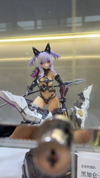 雷霆特遣队 — 黑加仑·夜