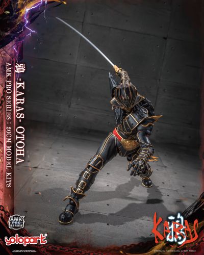 AMK PRO系列 鸦 -KARAS- 乙羽鸦 新生版