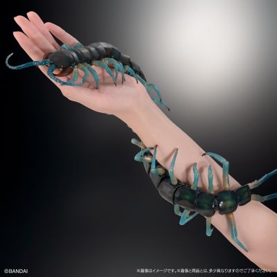 终极生物大图鉴系列 琉神大蜈蚣