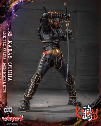 AMK PRO系列 鸦 -KARAS- 乙羽鸦 新生版