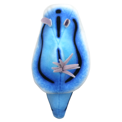 ATC 海蛞蝓毛绒玩具 2